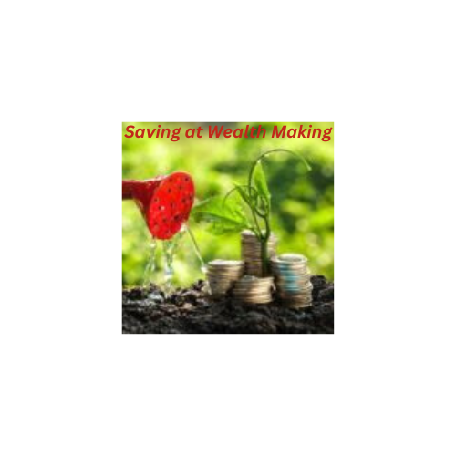 Saving At Wealth Making